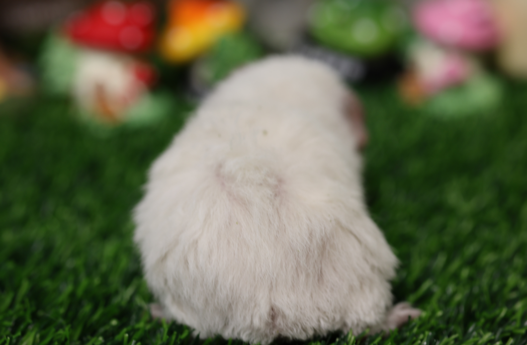 QQ20240920-113718.png