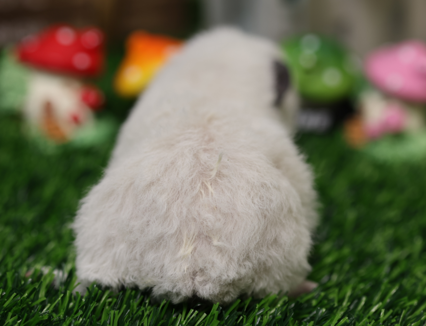 QQ20240920-113837.png