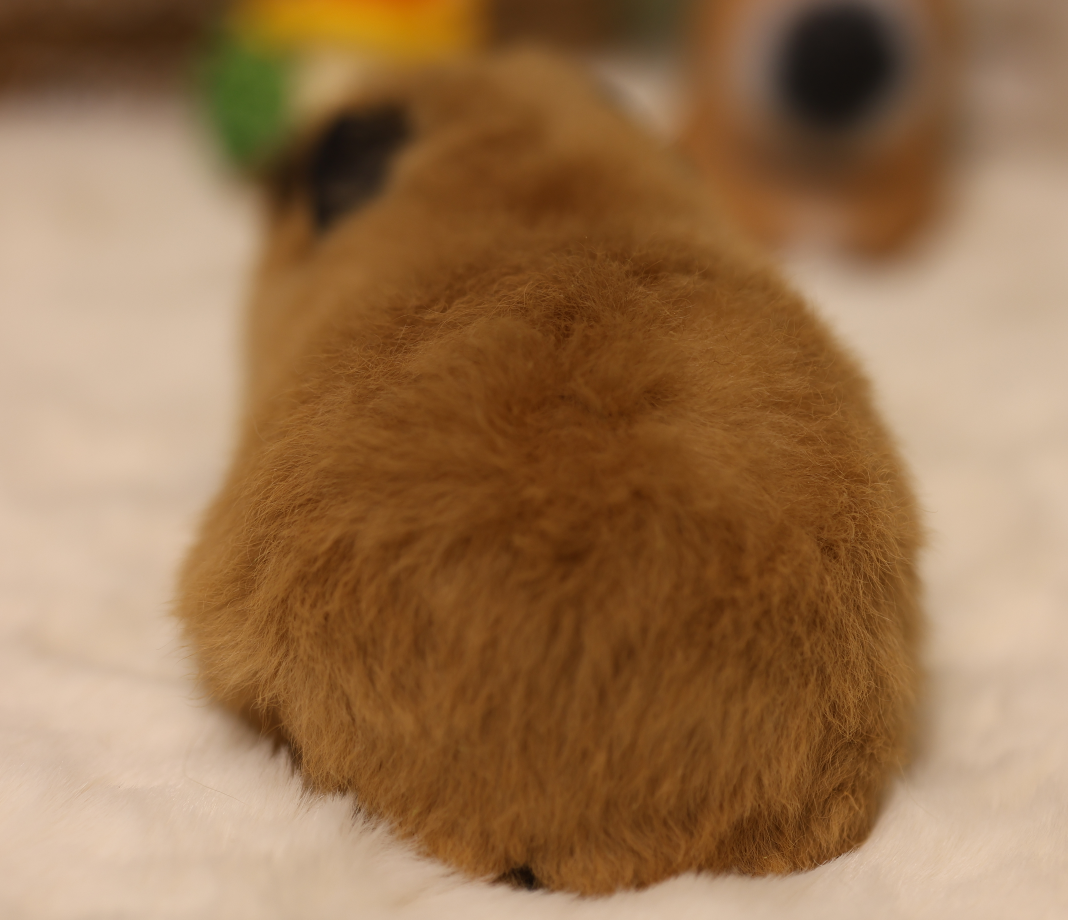 QQ20241019-133043.png