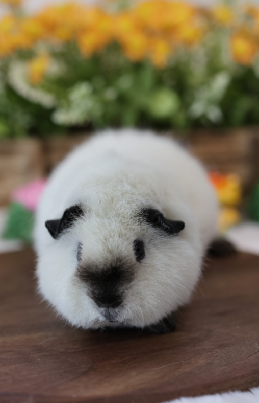 QQ20250217-215305.png