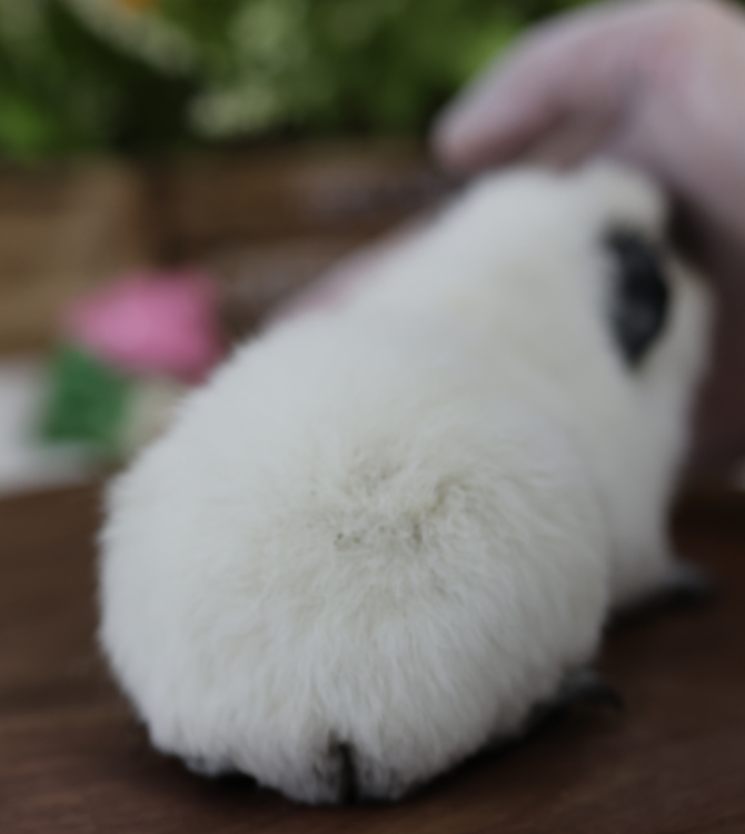 QQ20250217-222249.png