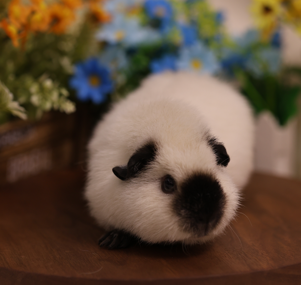 QQ20250328-231442.png